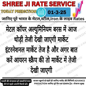 धातु भविष्यवाणी 2025: इस वर्ष के लिए बाजार के रुझान और भविष्यवाणियों की जानकारी।